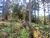 Terreno, 900 m² - Foto 3