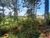 Terreno, 900 m² - Foto 5