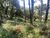 Terreno, 900 m² - Foto 4