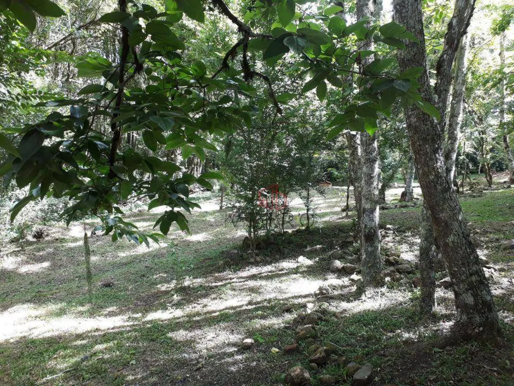 Sítio, 2 quartos, 6 hectares - Foto 4