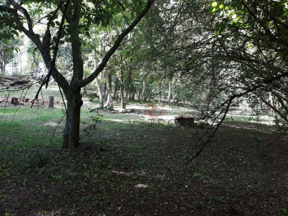 Sítio, 2 quartos, 6 hectares - Foto 3