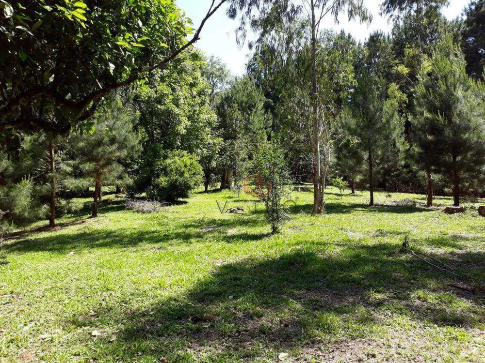 Sítio, 2 quartos, 6 hectares - Foto 1
