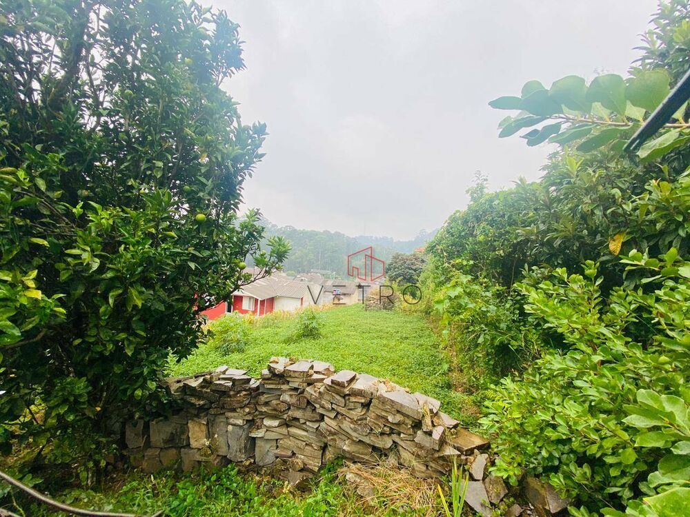 Terreno, 426 m² - Foto 5