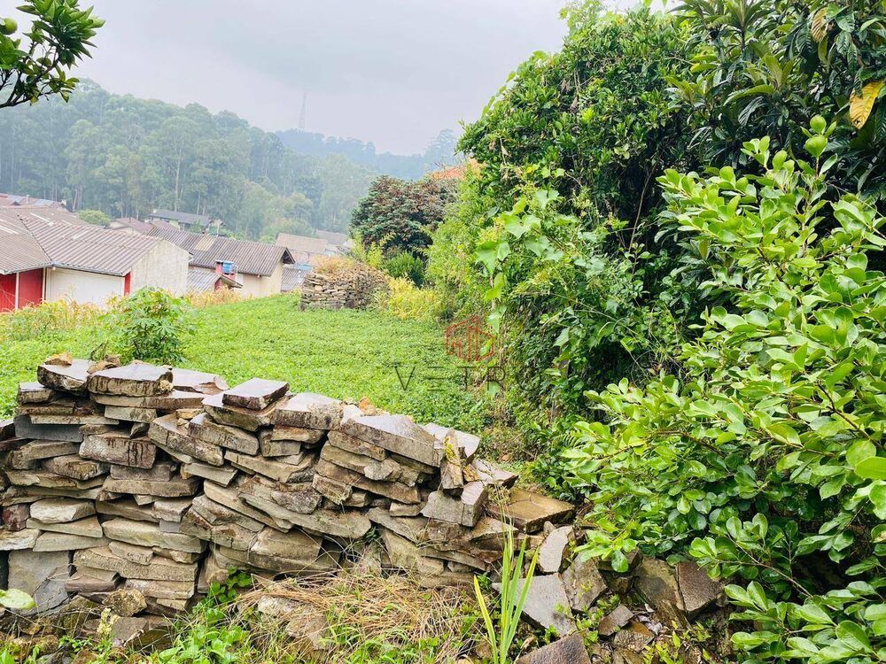 Terreno, 426 m² - Foto 4