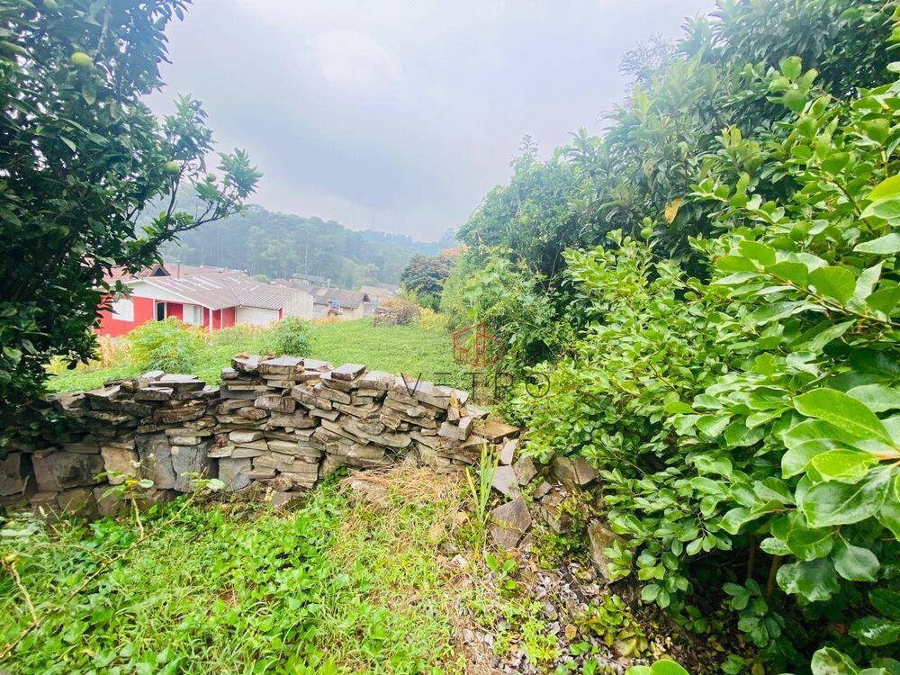 Terreno, 426 m² - Foto 6