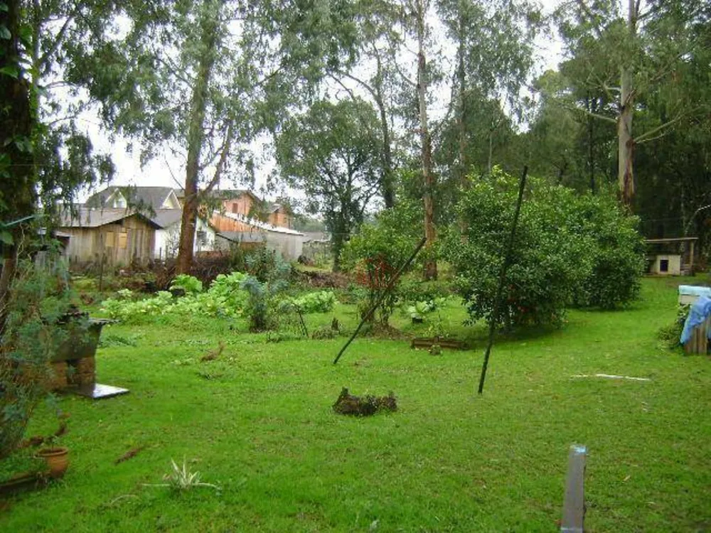 Terreno, 1700 m² - Foto 4