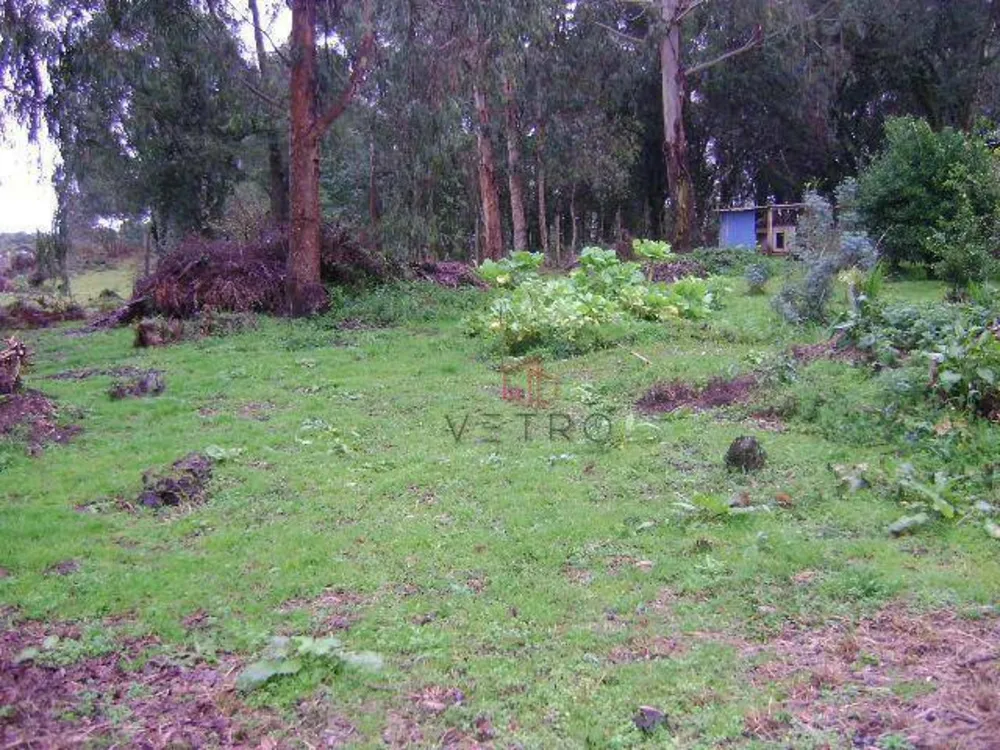 Terreno, 1700 m² - Foto 7