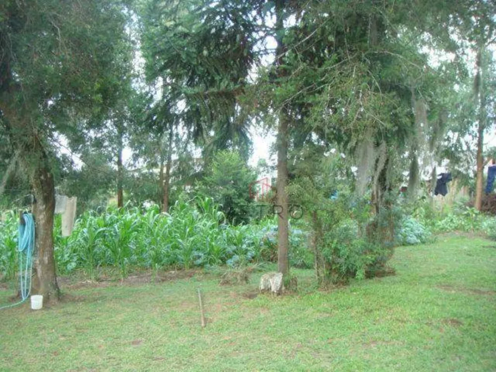 Terreno, 1700 m² - Foto 5