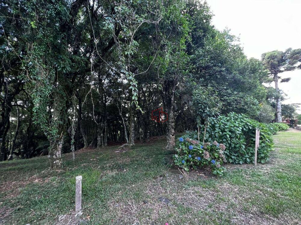 Loteamento e Condomínio, 1435 m² - Foto 6