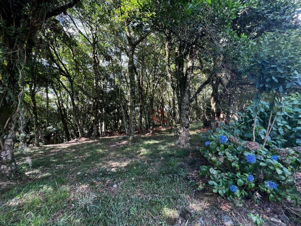 Loteamento e Condomínio, 1435 m² - Foto 10