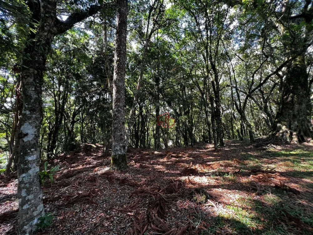 Loteamento e Condomínio, 1435 m² - Foto 1