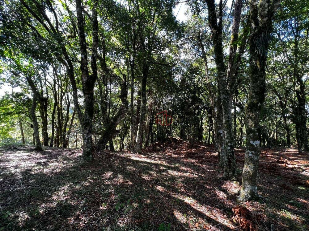 Loteamento e Condomínio, 1435 m² - Foto 8