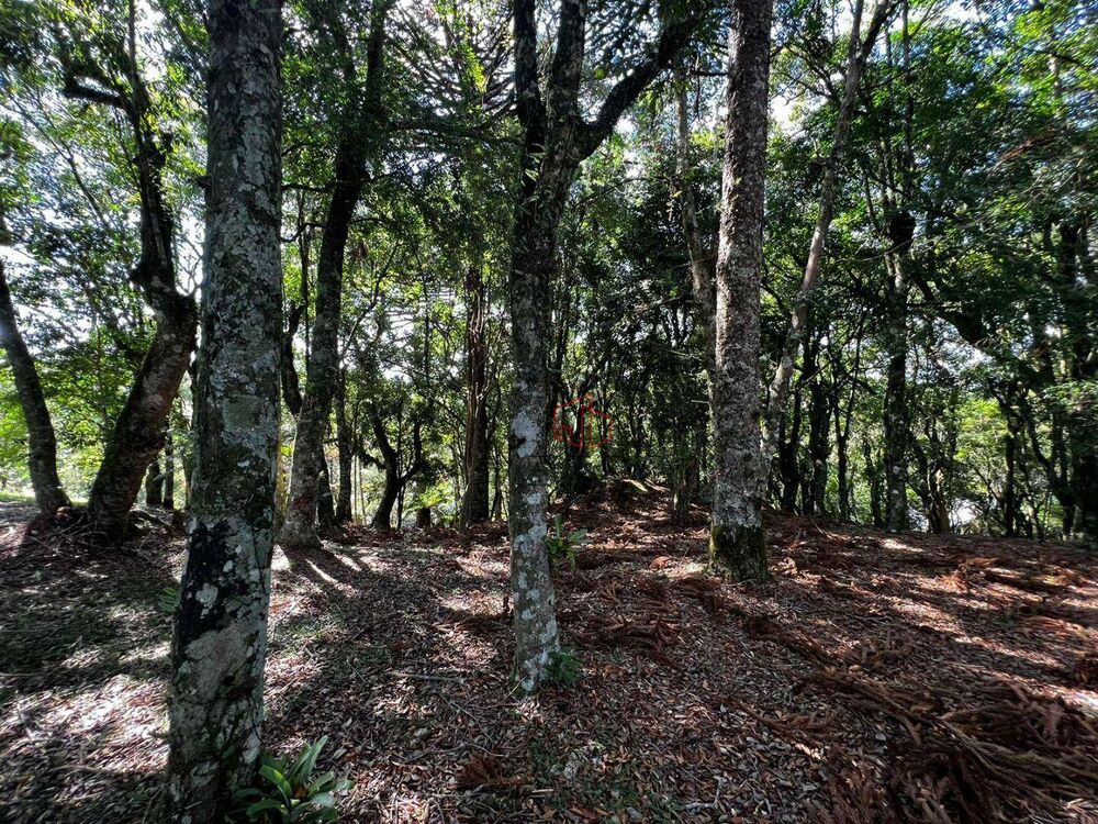 Loteamento e Condomínio, 1435 m² - Foto 4