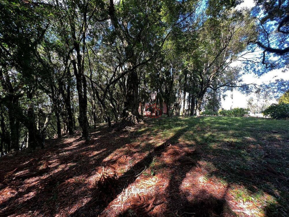 Loteamento e Condomínio, 1435 m² - Foto 7