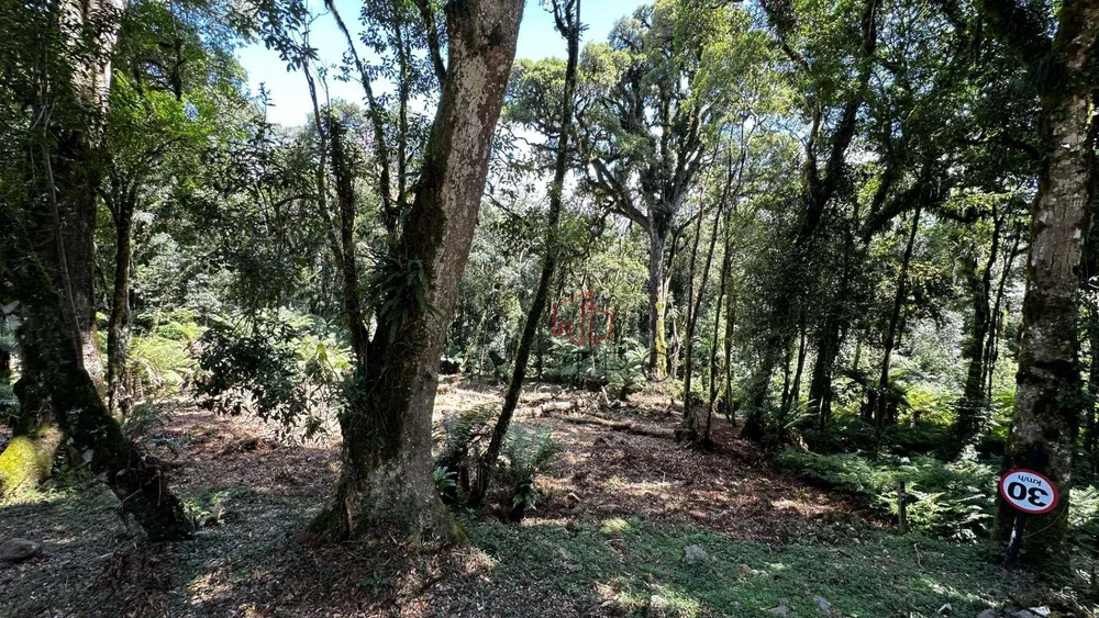 Loteamento e Condomínio, 1096 m² - Foto 3