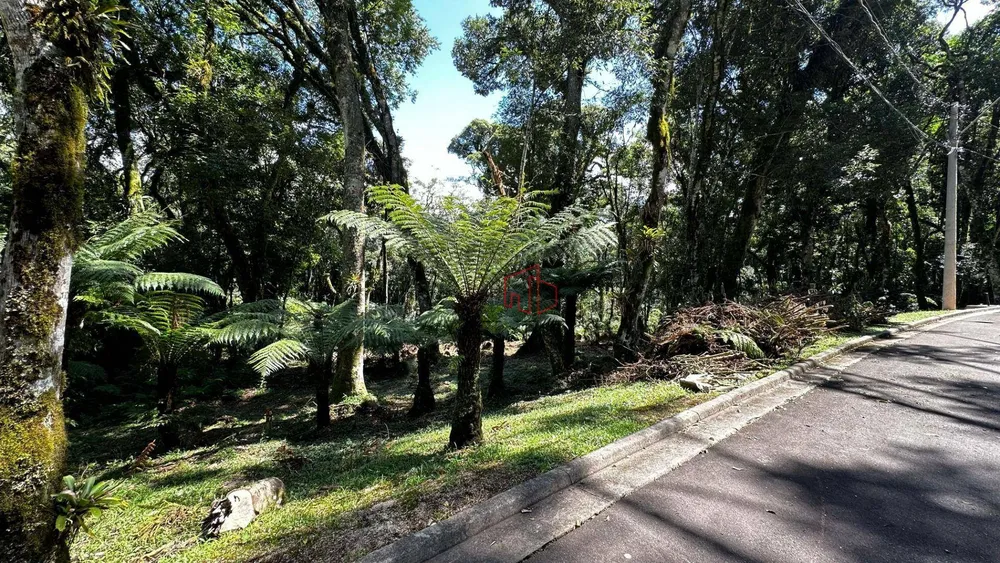 Loteamento e Condomínio, 1096 m² - Foto 1