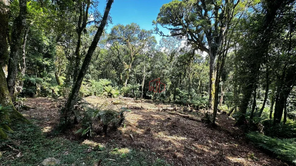Loteamento e Condomínio, 1096 m² - Foto 2