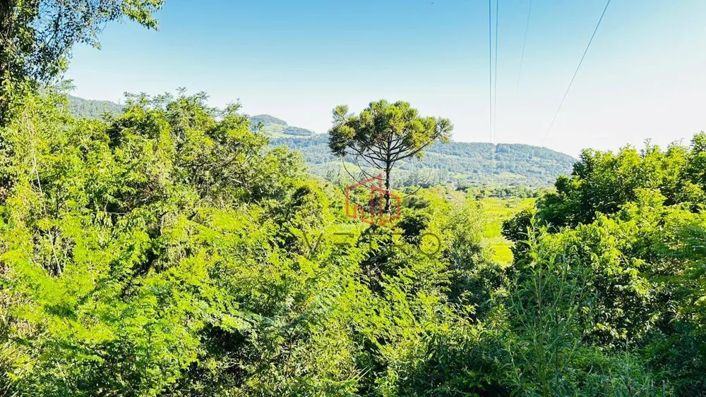 Sítio, 2 hectares - Foto 1