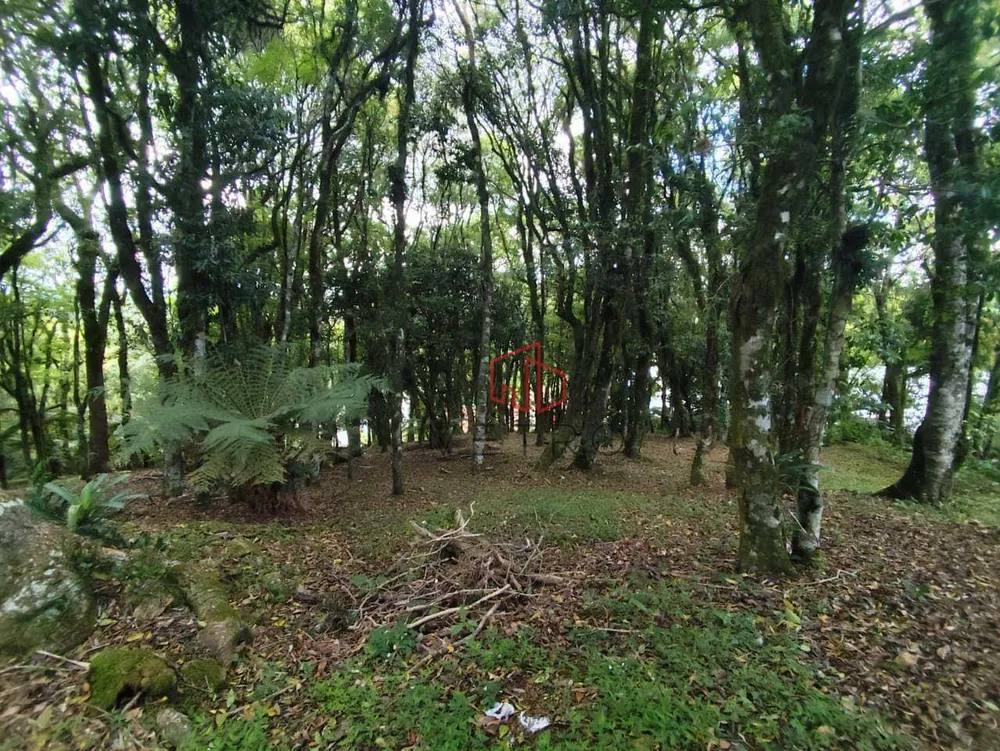 Loteamento e Condomínio, 1440 m² - Foto 8