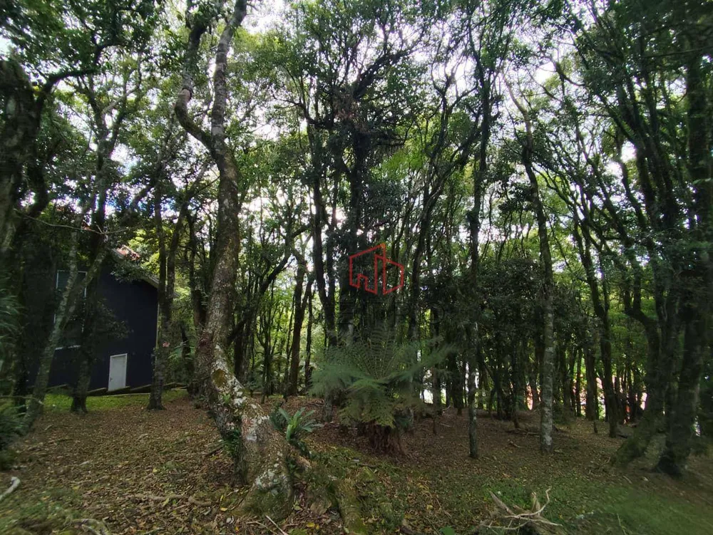 Loteamento e Condomínio, 1440 m² - Foto 10