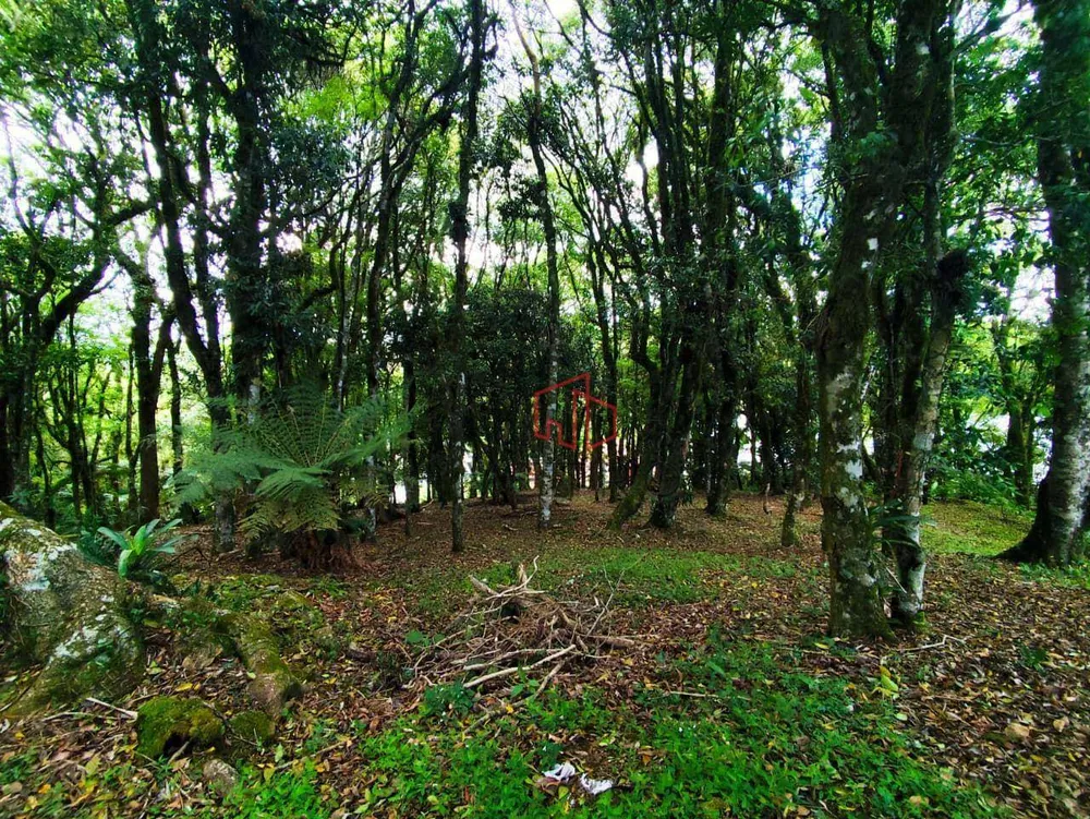 Loteamento e Condomínio, 1440 m² - Foto 11