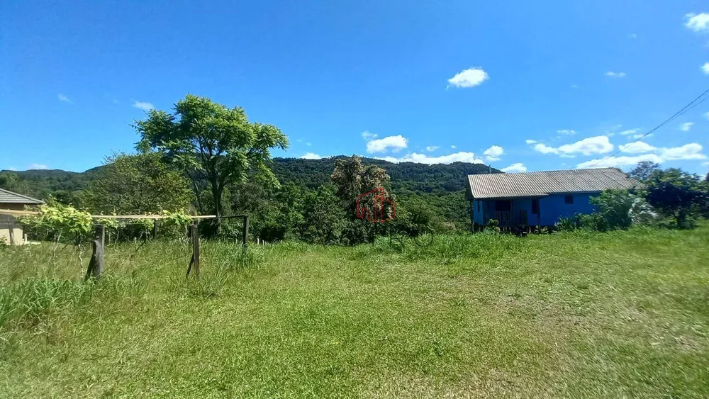 Sítio, 9 quartos, 4 hectares - Foto 3