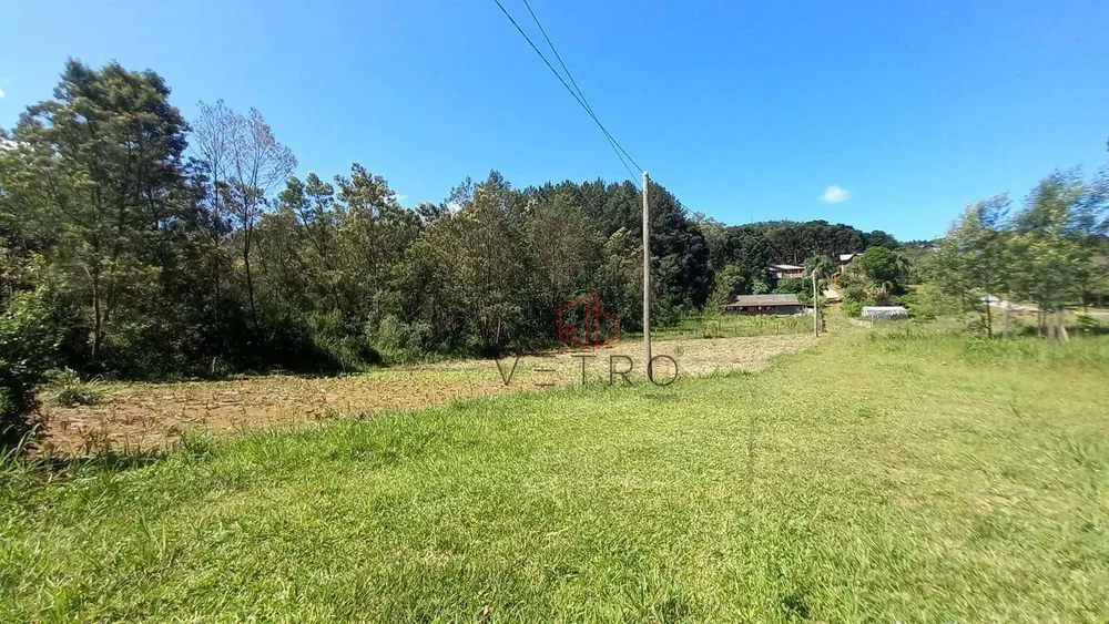 Sítio, 9 quartos, 4 hectares - Foto 8