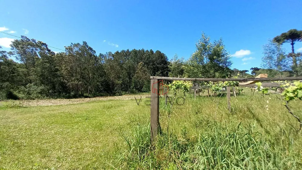 Sítio, 9 quartos, 4 hectares - Foto 6