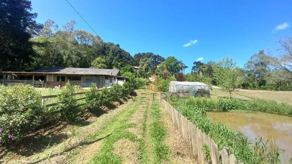 Sítio, 9 quartos, 4 hectares - Foto 10