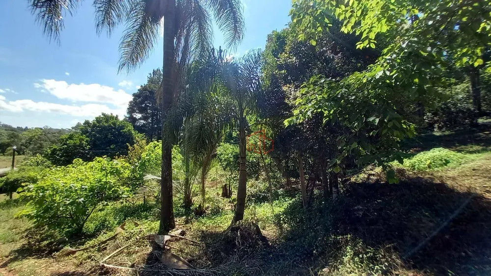 Sítio, 9 quartos, 4 hectares - Foto 7
