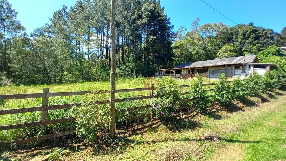 Sítio, 9 quartos, 4 hectares - Foto 11