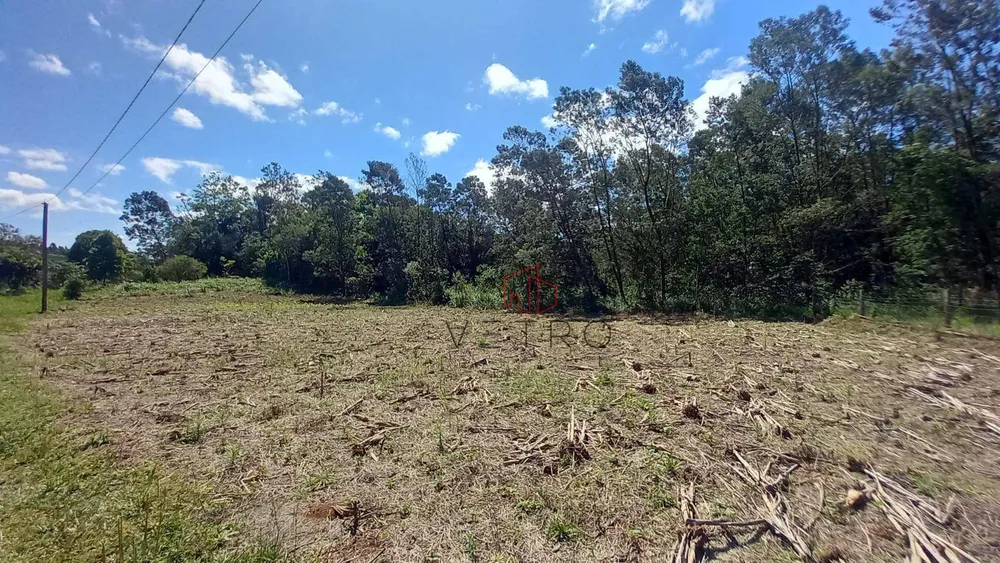 Sítio, 9 quartos, 4 hectares - Foto 12