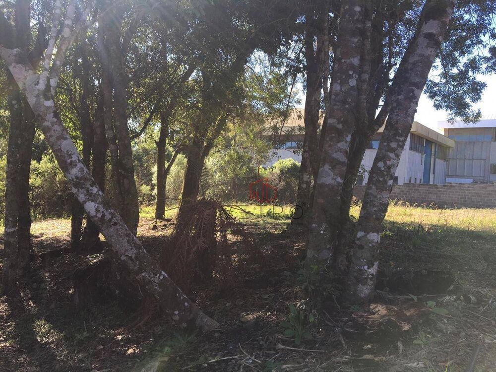Loteamento e Condomínio, 802 m² - Foto 3