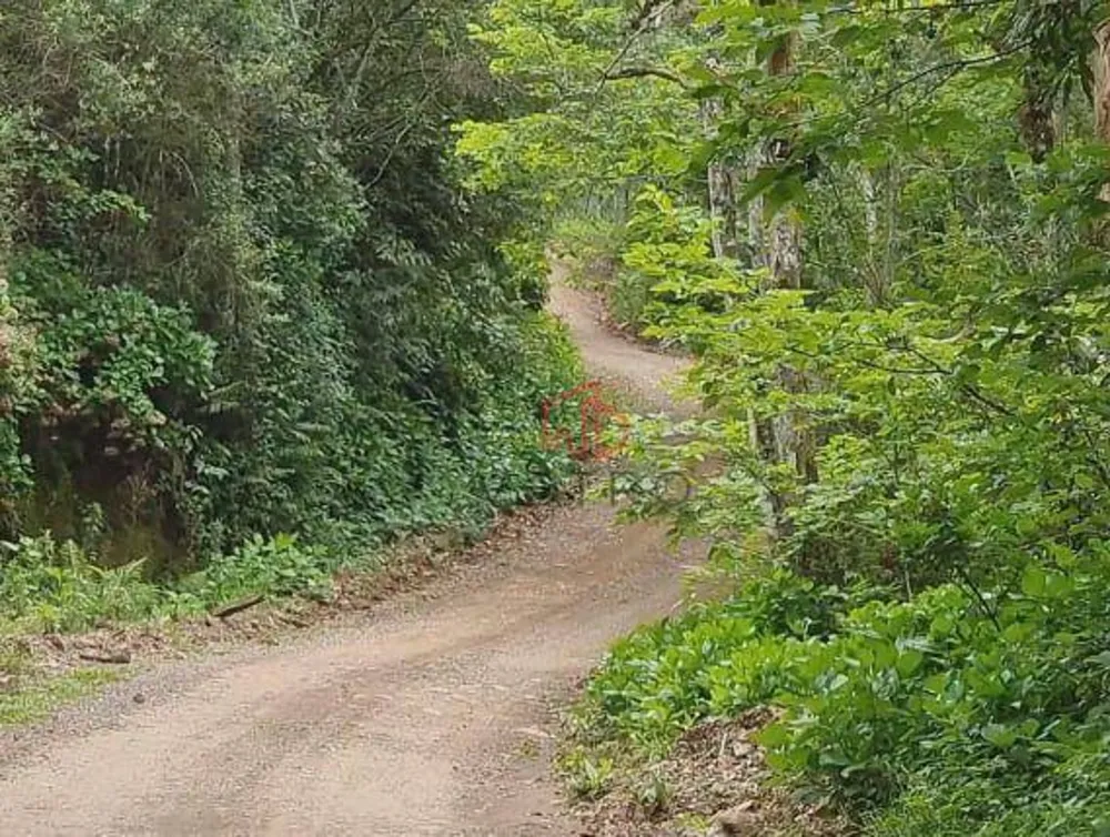 Sítio, 5 hectares - Foto 1