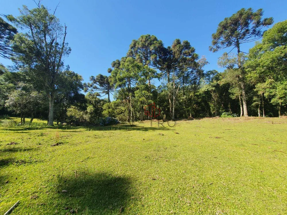 Sítio, 4 quartos, 2 hectares - Foto 10