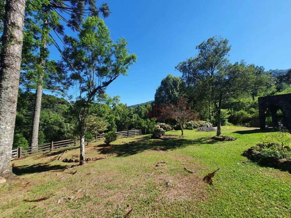 Sítio, 4 quartos, 2 hectares - Foto 9