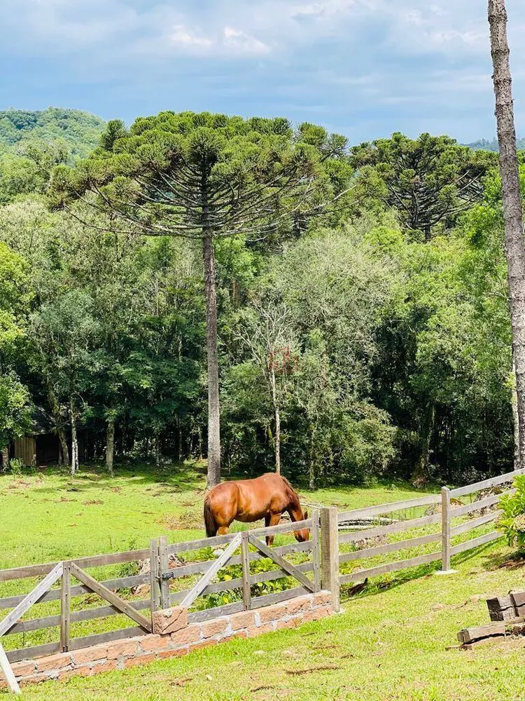 Sítio, 4 quartos, 2 hectares - Foto 11