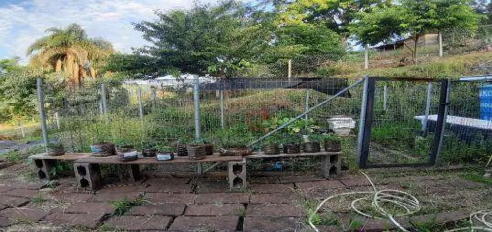 Sítio, 3 quartos, 3 hectares - Foto 10