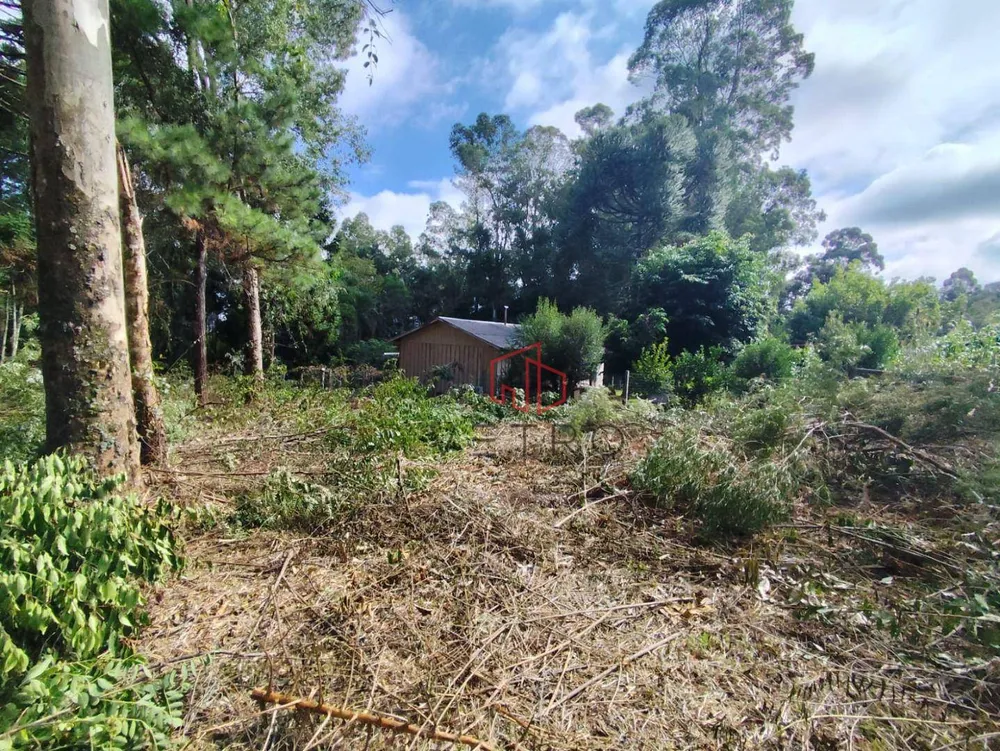 Sítio, 5 hectares - Foto 1
