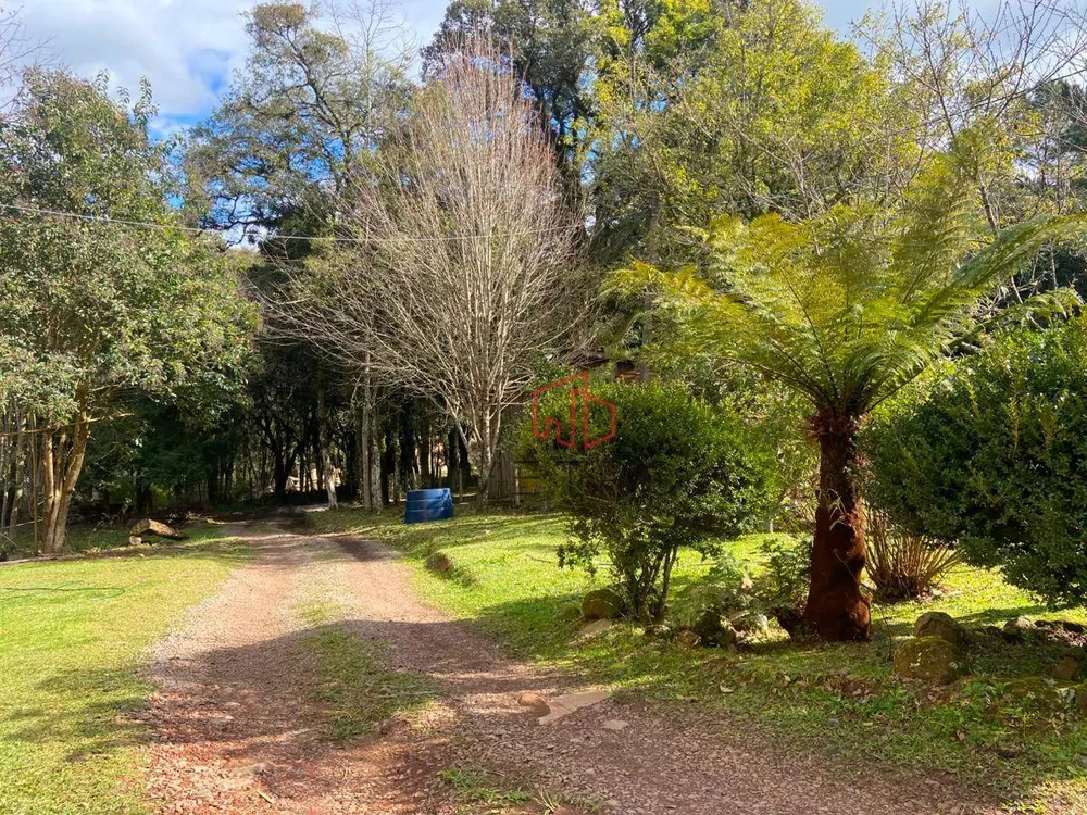 Terreno, 302 m² - Foto 1