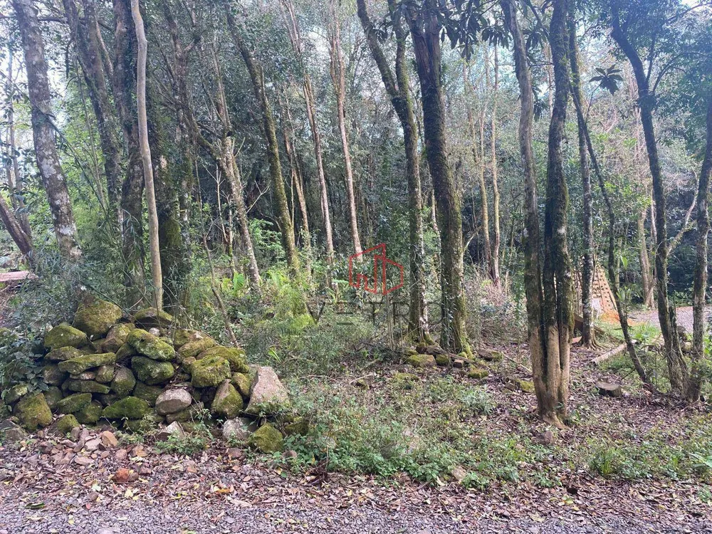Terreno, 302 m² - Foto 5