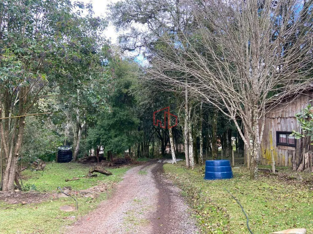 Terreno, 302 m² - Foto 4