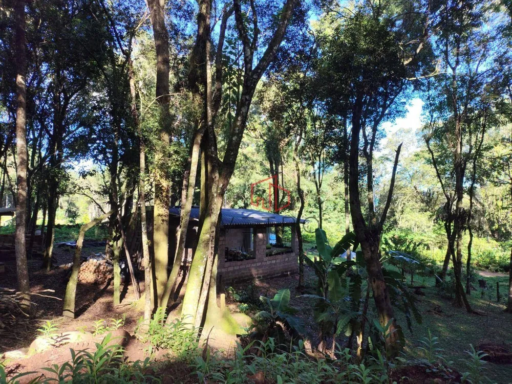 Sítio, 2 quartos, 2 hectares - Foto 4