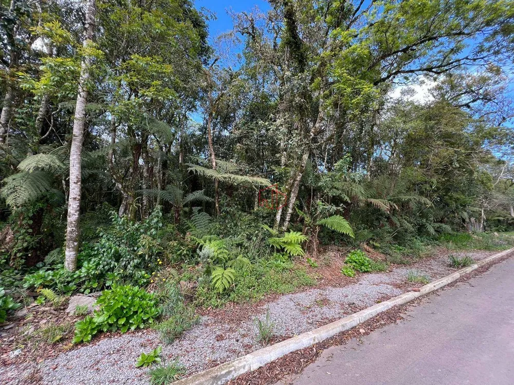 Terreno, 1182 m² - Foto 4