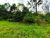 Terreno, 800 m² - Foto 3