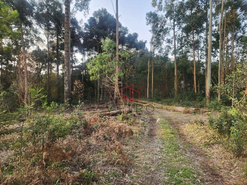 Sítio, 2 quartos, 2 hectares - Foto 3