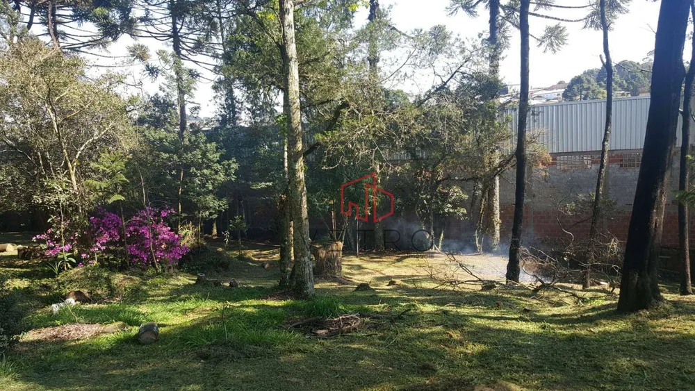 Casa, 5 quartos, 210 m² - Foto 13