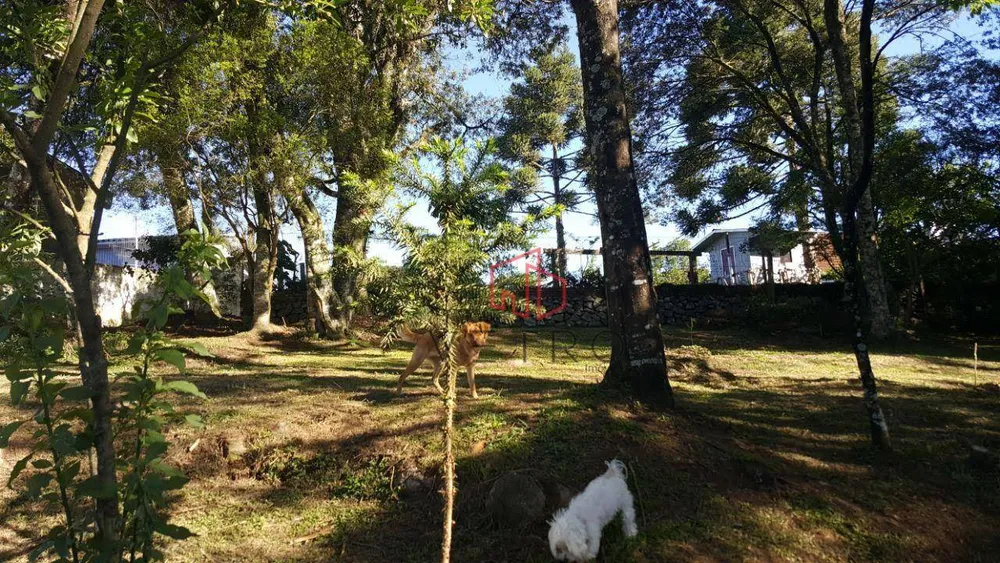 Casa, 5 quartos, 210 m² - Foto 15