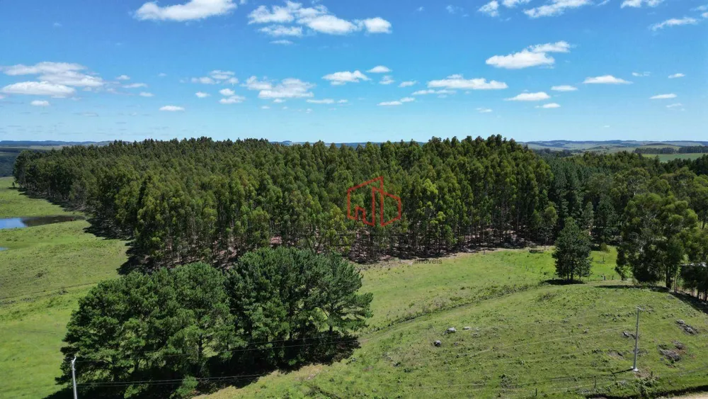 Sítio, 2 quartos, 30 hectares - Foto 4