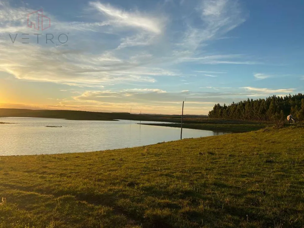 Sítio, 2 quartos, 30 hectares - Foto 6